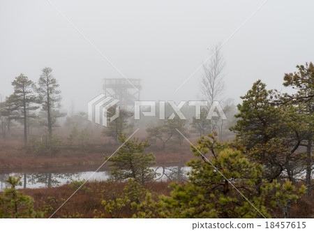 Kemeri National Park 18457615