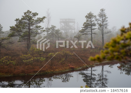 Kemeri National Park 18457616