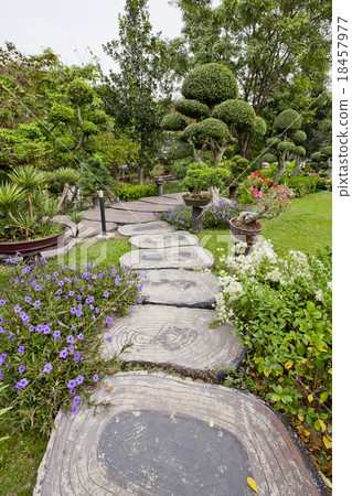 Wooden stump path with beautiful flowers in park. 18457977