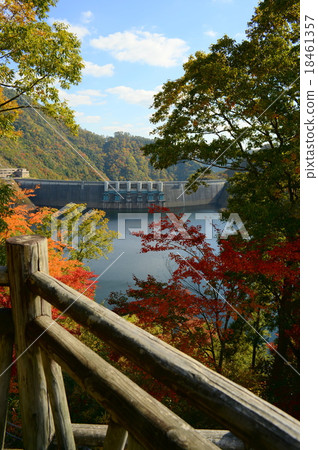 Autumn leaves of Wakai dam Autumn leaves of Wakai dam 18461357
