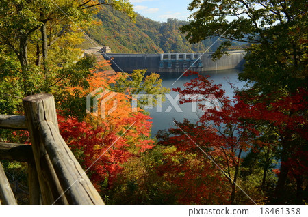 Autumn leaves of Wakai dam Autumn leaves of Wakai dam 18461358
