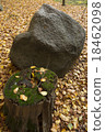Stone and trunk 18462098