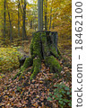 Green Tree Stump 18462100