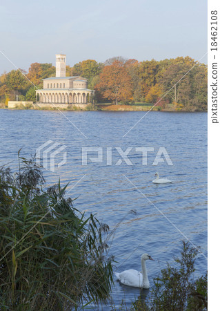 Church and swans 18462108