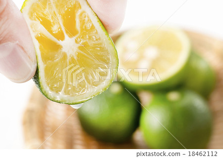 Citrus Citrus 18462112