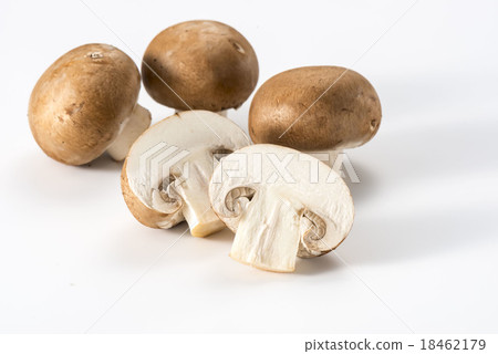 Mass Mass 18462179