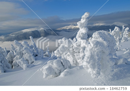 winter creates wonders winter creates wonders 18462759