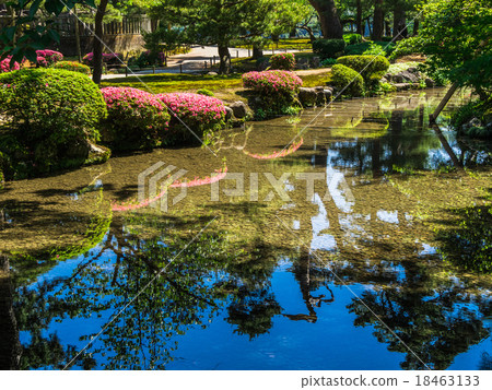 金澤兼六園 金澤兼六園 18463133