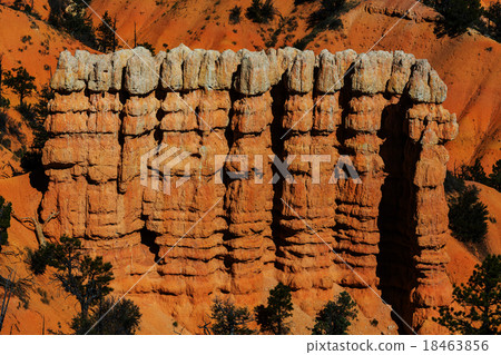 Bryce Bryce 18463856
