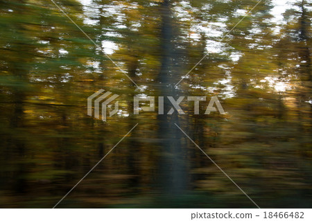 Blurred Autumn Season Blurred Autumn Season 18466482