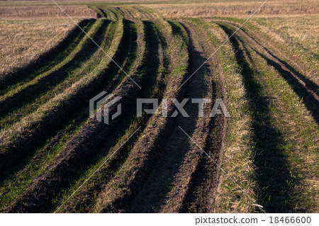 Countryside road overgrown with grass 18466600