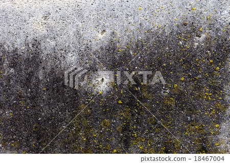 Concrete surface with yellow moss and rich texture Concrete surface with yellow moss and rich texture 18467004