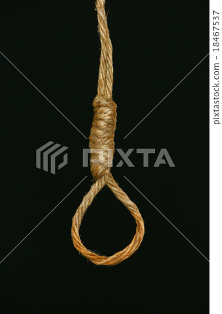 bankrupt concept, rope noose with hangman's knot  bankrupt concept, rope noose with hangman's knot  18467537