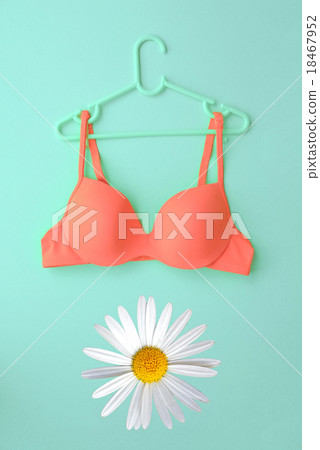 Bra on hanger with white daisy flower on blue Bra on hanger with white daisy flower on blue 18467952