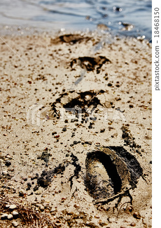 Footprints in the dirt Footprints in the dirt 18468150