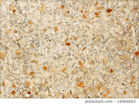 Conglomerate variety puddingstone 18468603