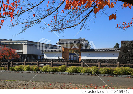 秋季葉子和Honmaru一封信門 18469742