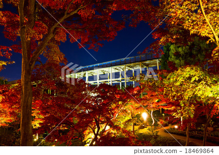 Keihanna National Memorial Park's autumn leaves light up Keihanna National Memorial Park's autumn leaves light up 18469864