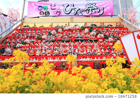 桂大Hina祭典 桂大Hina祭典 18471258