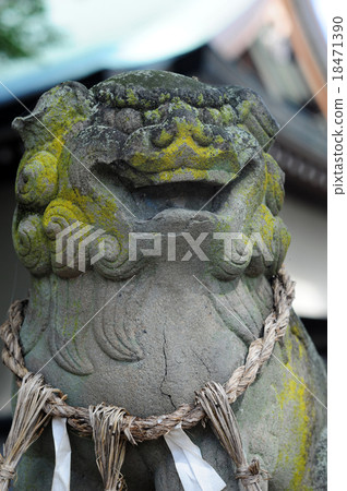 Kamo Itami Shrine's guardian dog-1 18471390