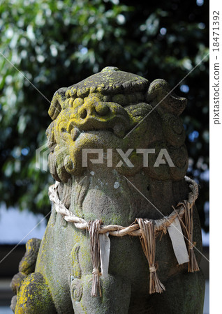 Kamo Itami Shrine's guardian dog-3 18471392