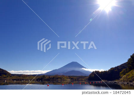 Mt. Fuji in Lake Shoji _ Autumn Mt. Fuji in Lake Shoji _ Autumn 18472045