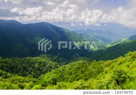 Stunning aerial view of spectacular jungles Stunning aerial view of spectacular jungles 18474070