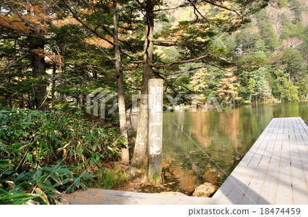 妙神池 18474459