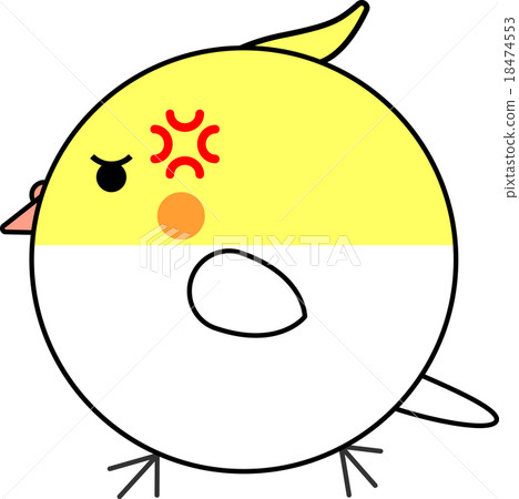 Maruko(鸚鵡和rucino) Maruko(鸚鵡和rucino) 18474553
