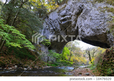 Male bridge 18476020