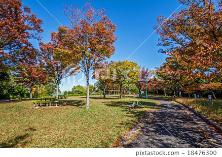 名古屋市Chaya Keisaka公園 18476300