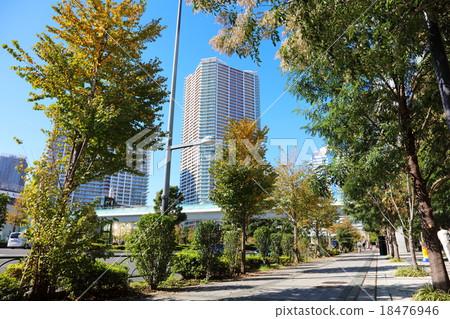Scenery of Toyosu 18476946
