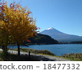 Kawaguchiko 1 18477332