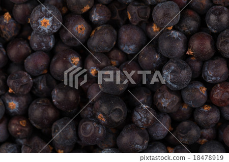 Dried black currant Dried black currant 18478919