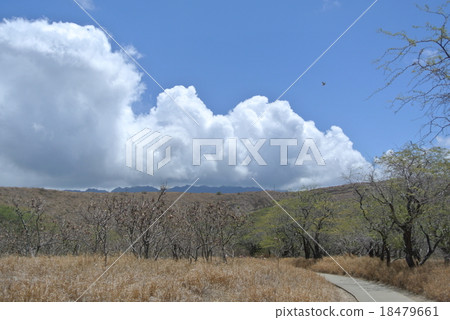 鑽石頭藍天 18479661