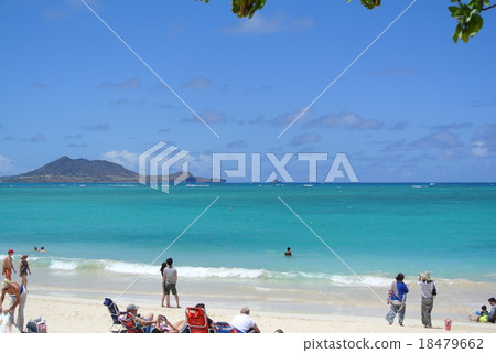 夏威夷/凱魯瓦海灘 18479662