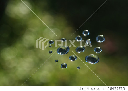 Shining water drops and green atmosphere Shining water drops and green atmosphere 18479713