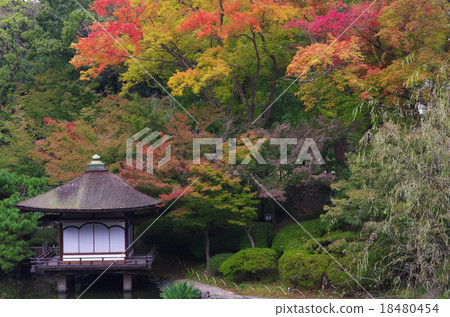 秋季葉子和和歌山城堡Momijigawa河 秋季葉子和和歌山城堡Momijigawa河 18480454