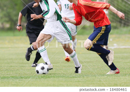 Football football 18480461
