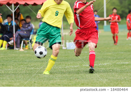 足球足球 18480464