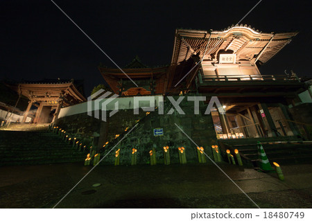 Usuki Bamboo Evening Usuki Bamboo Evening 18480749