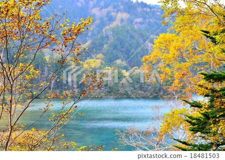 長野縣·秋天志賀高原,·大沼池 長野縣·秋天志賀高原,·大沼池 18481503