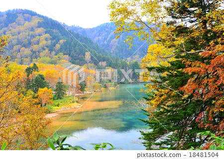 長野縣·秋天志賀高原，·大沼池 18481504