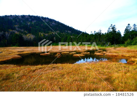 長野縣·秋天的志賀高原·Yaokuike荒野 18481526
