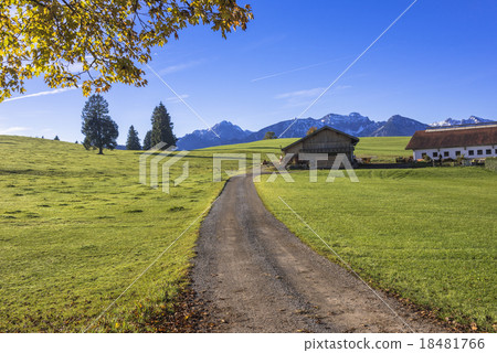 農村風景在巴伐利亞地區 18481766