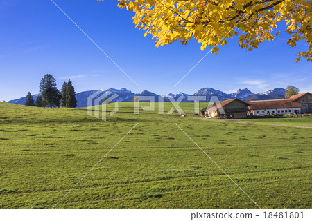Rural scenery in the Bavaria region Rural scenery in the Bavaria region 18481801