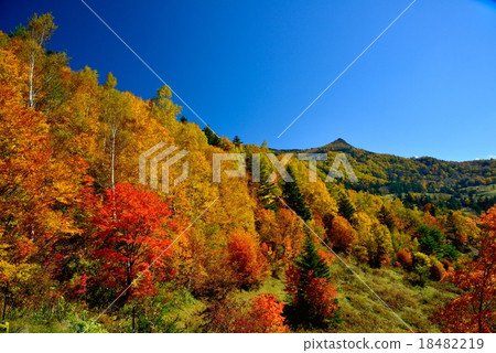 Autumn leaves of Matsukawa Valley, Nagano prefecture 18482219