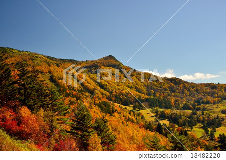 Autumn leaves of Matsukawa Valley, Nagano prefecture 18482220