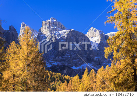 Lyca黃色大麵包美麗的Dolomiti地區 18482710