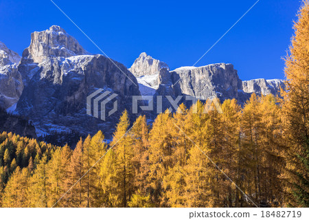 Lyca黃色大麵包美麗的Dolomiti地區 18482719